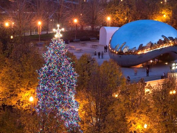 Chicago's Iconic Holiday Tree Comes to Light | BrightView
